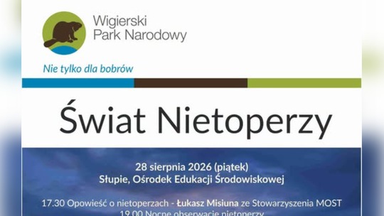 Świat Nietoperzy w Wigierskim Parku Narodowym. Nocne obserwacje już 28 sierpnia