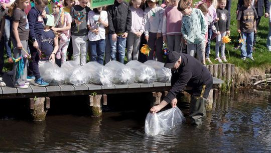 Światowy Dzień Ziemi nad Czarną Hańczą. Rzeka zostanie zarybiona pstrągiem