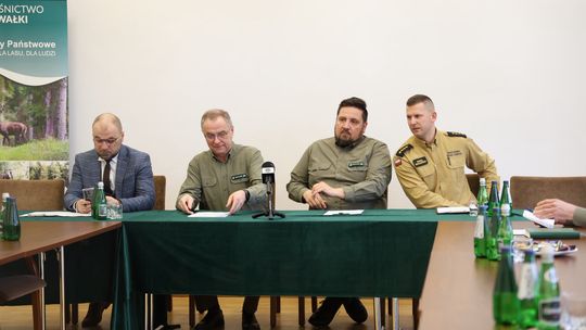 Święto Lasu w Suwałkach. W Parku Konstytucji 3 Maja powstanie „leśne miasteczko”