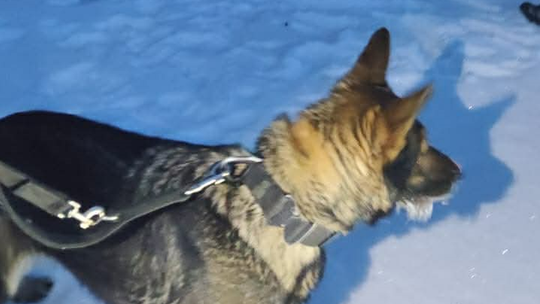 Szczęśliwy finał poszukiwań. 37-latek odnaleziony w lesie pod Bakałarzewem ❄️