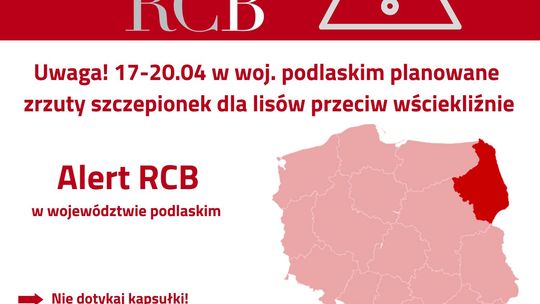 Uwaga! Zrzuty szczepionek dla lisów w województwie podlaskim
