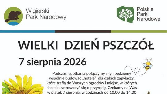 Wielki Dzień Pszczół w Wigierskim Parku Narodowym. Powstaną domki dla dzikich zapylaczy
