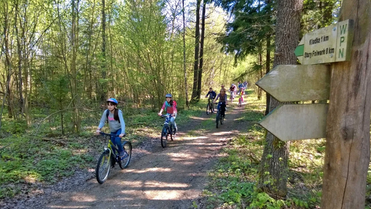 Wigierski Park Narodowy – weekend pełen przygód, wiedzy i ruchu. Sprawdź wydarzenia 20–22 czerwca