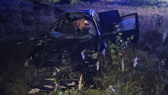⚠️ Wypadek z łosiem na trasie Suwałki–Augustów. Policja apeluje o ostrożność!