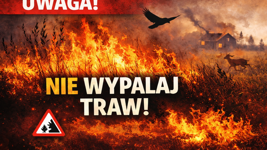 Wypalanie traw to realne zagrożenie. Policja ostrzega przed poważnymi konsekwencjami