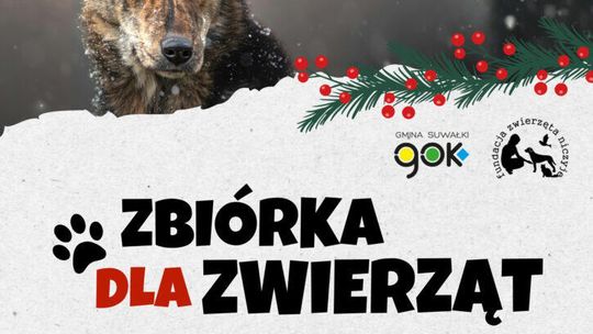 🐾 Zachęcamy do przyłączenia się do zbiórki dla zwierząt! Pomóżmy razem potrzebującym czworonogom 🐾 Zachęcamy do przyłączenia się do zbiórki dla zwierząt! Pomóżmy razem potrzebującym czworonogom