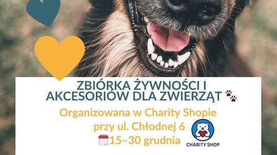 Zbiórka świąteczna dla zwierząt w Suwałkach Zbiórka świąteczna dla zwierząt w Suwałkach