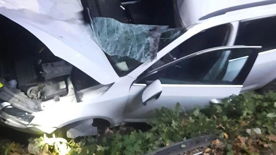 Zderzenie z łosiem w Bakaniuku. Dwie osoby trafiły do szpitala