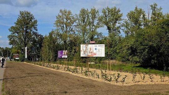 Zielone Suwałki rosną w siłę. Kolejne tereny miasta przechodzą metamorfozę