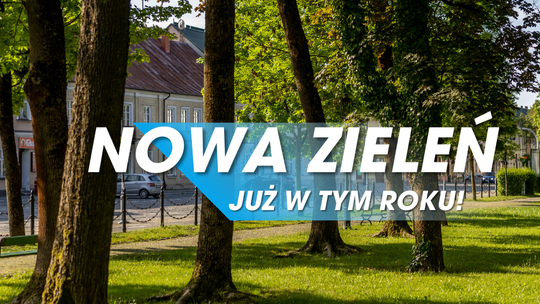 🌳 Zielone Suwałki – ruszają prace!