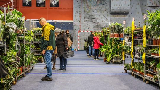 🌿 Zielony zawrót głowy w Suwałkach! Festiwal Roślin zachwycił odwiedzających 💚 🌿 Zielony zawrót głowy w Suwałkach! Festiwal Roślin zachwycił odwiedzających 💚