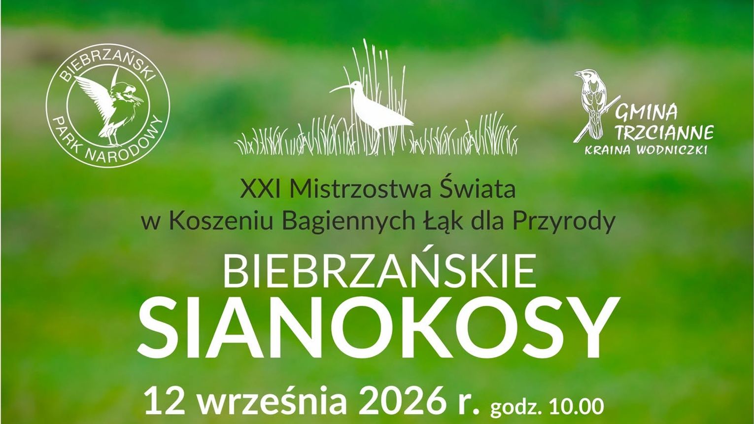 Biebrzańskie Sianokosy 2026. Przed nami XXI Mistrzostwa Świata w Koszeniu Bagiennych Łąk