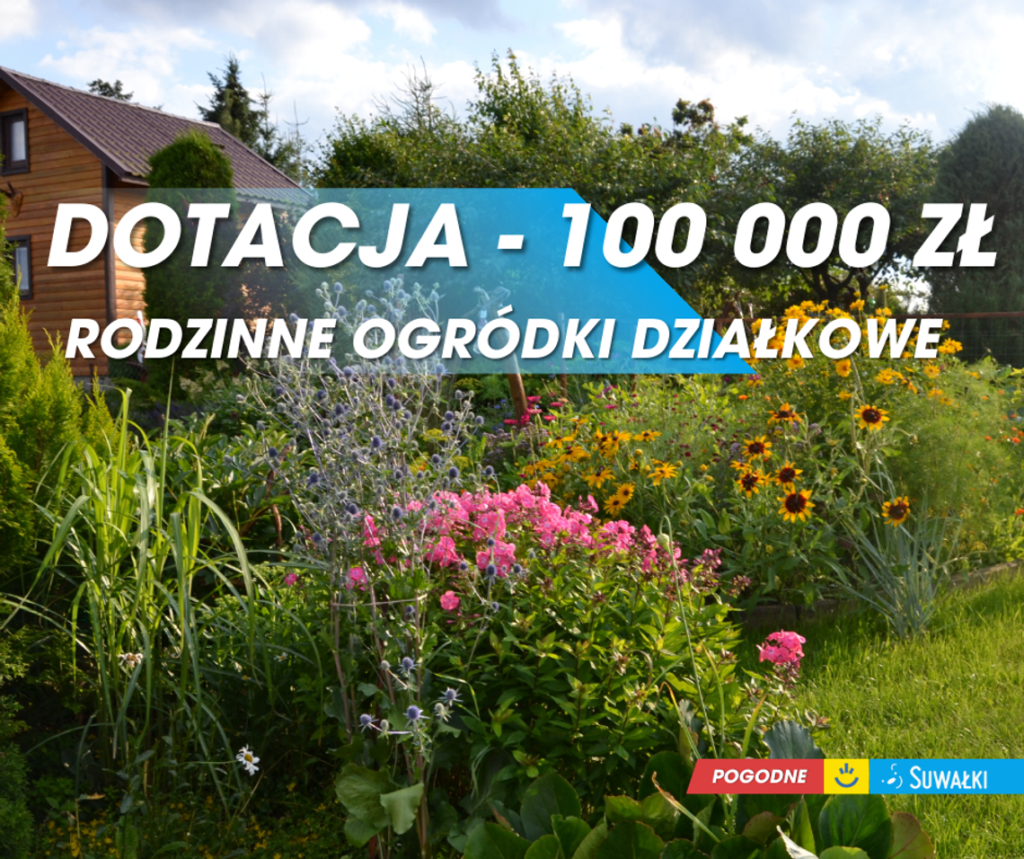 100 tys. zł dla suwalskich ogrodów działkowych. Miasto ogłosiło nabór wniosków