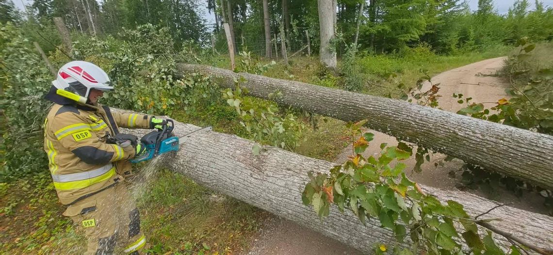 14 interwencji OSP Szypliszki po przejściu frontu atmosferycznego 14 interwencji OSP Szypliszki po przejściu frontu atmosferycznego