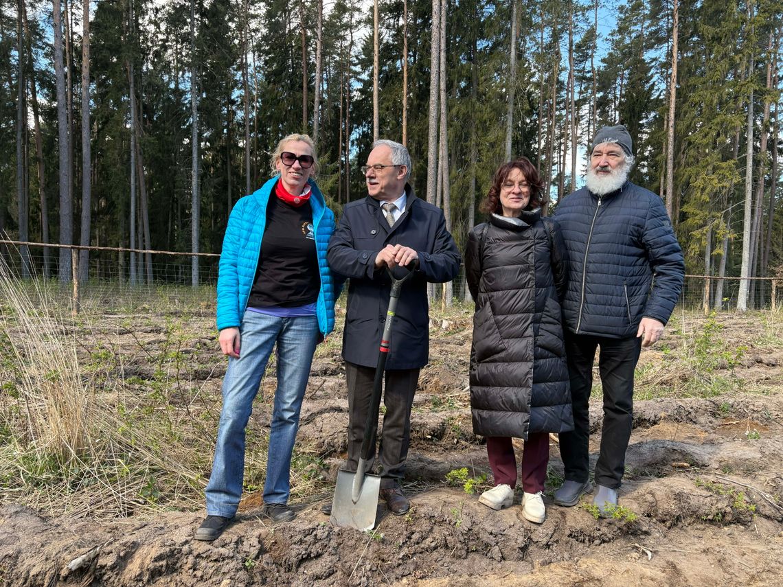 1600 dębów na 35-lecie Radia 5 – wyjątkowa akcja sadzenia drzew w Suwałkach