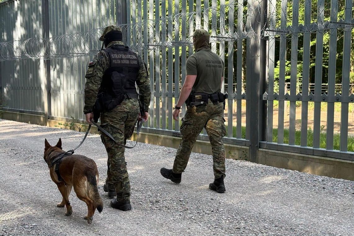 24 próby nielegalnego przekroczenia granicy. Migranci używali drabin