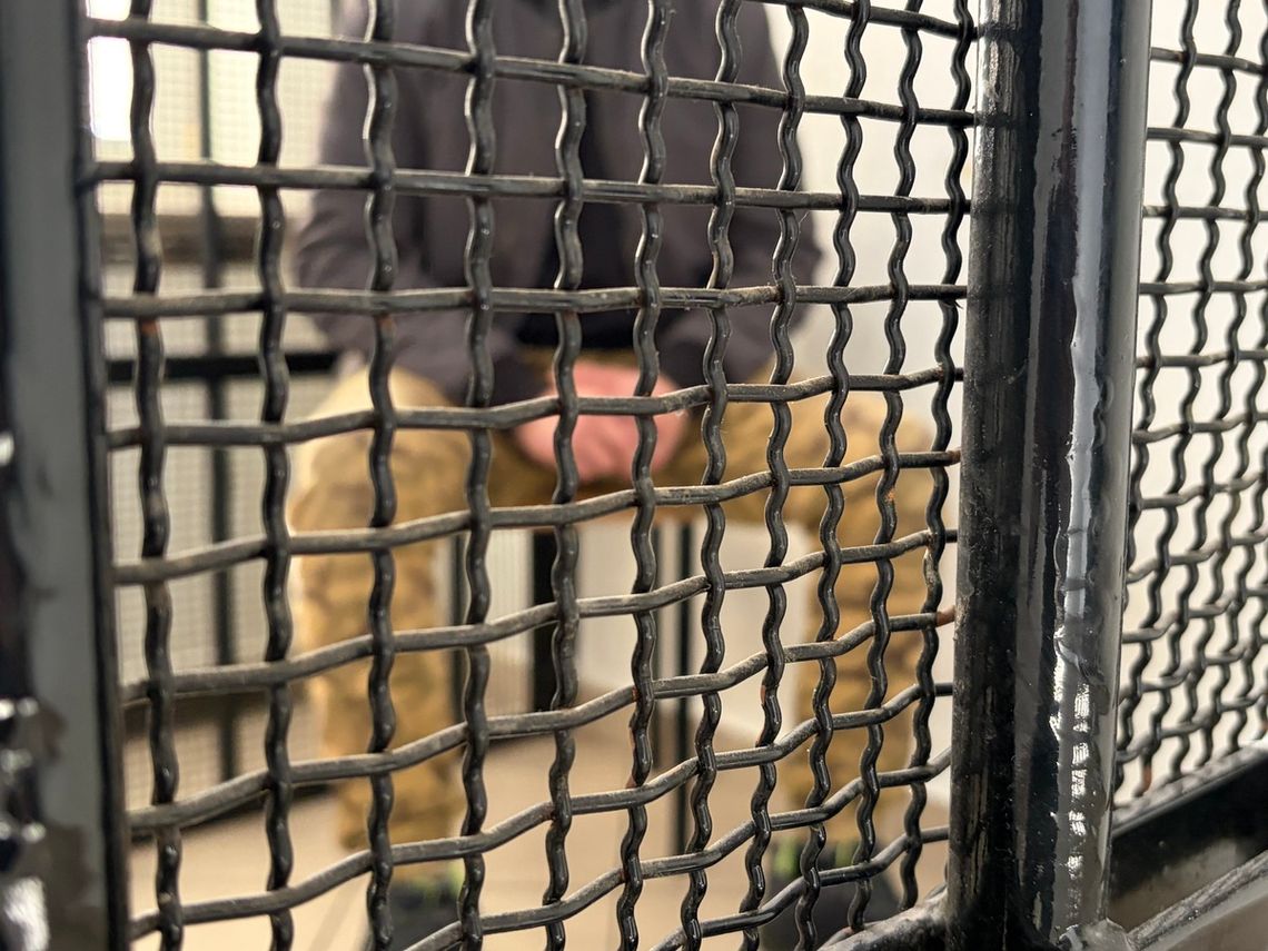 37-latek zatrzymany za rozbój na byłej partnerce