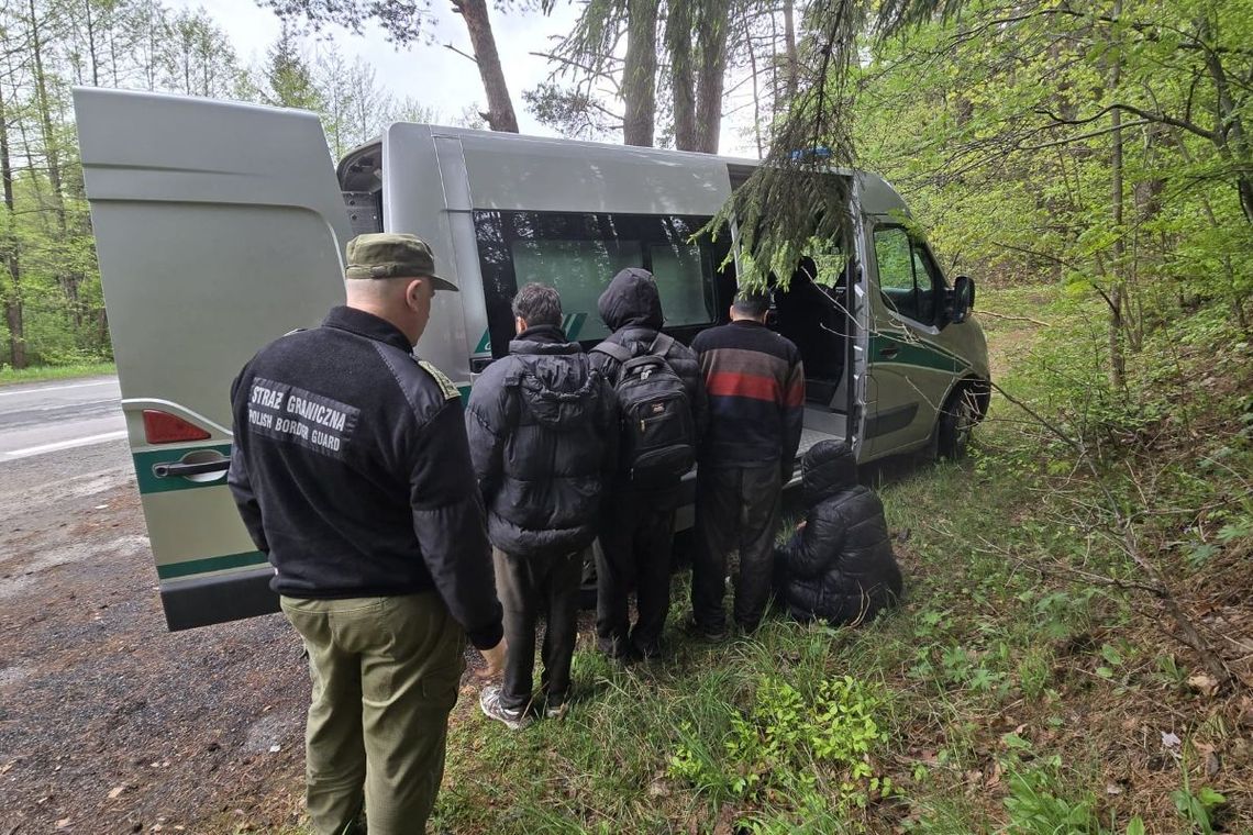 8 cudzoziemców zatrzymanych po nielegalnym przekroczeniu granicy polsko-litewskiej. Działania Straży Granicznej i WOT 8 cudzoziemców zatrzymanych po nielegalnym przekroczeniu granicy polsko-litewskiej. Działania Straży Granicznej i WOT