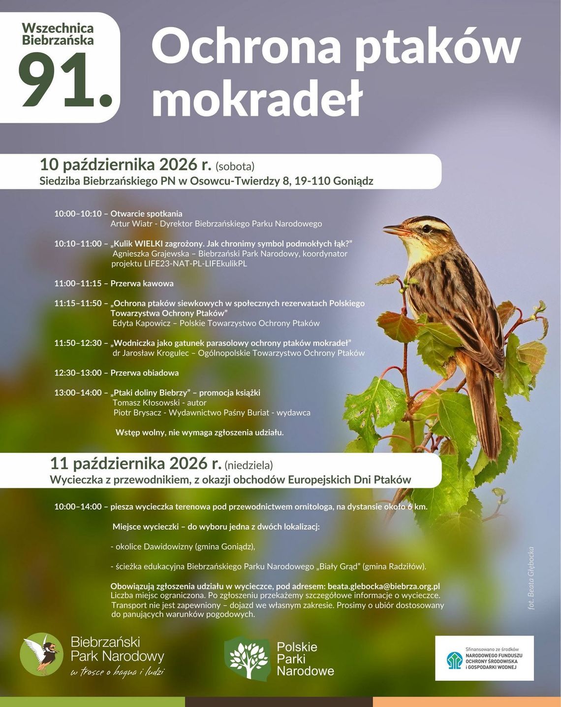 91. Wszechnica Biebrzańska o ochronie ptaków mokradeł. Dwa dni spotkań i wycieczka terenowa 91. Wszechnica Biebrzańska o ochronie ptaków mokradeł. Dwa dni spotkań i wycieczka terenowa