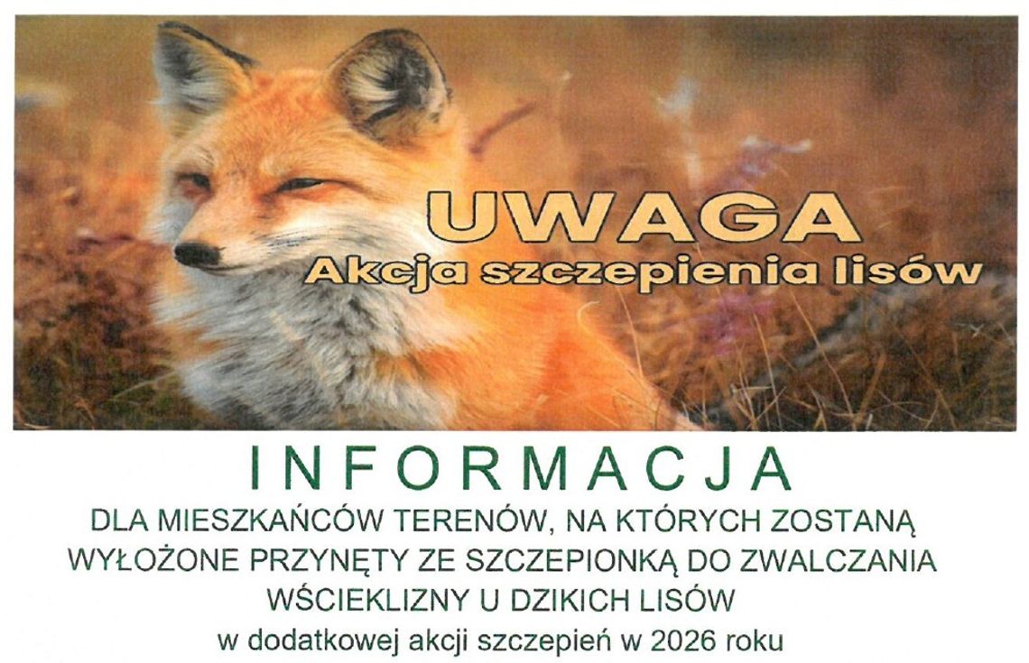 🦊💉 Akcja szczepień ochronnych dzikich lisów przeciwko wściekliźnie w powiecie suwalskim 🦊💉 Akcja szczepień ochronnych dzikich lisów przeciwko wściekliźnie w powiecie suwalskim