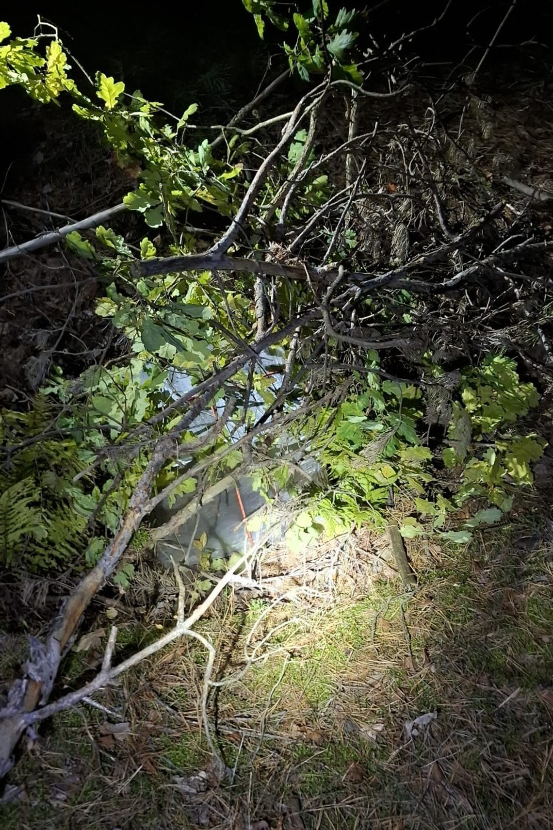 Balony meteorologiczne wykorzystane do przemytu papierosów 🚬🎈 Balony meteorologiczne wykorzystane do przemytu papierosów 🚬🎈