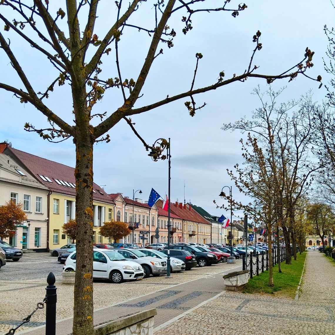 Biało-czerwone Suwałki – miasto gotowe na majowe święta