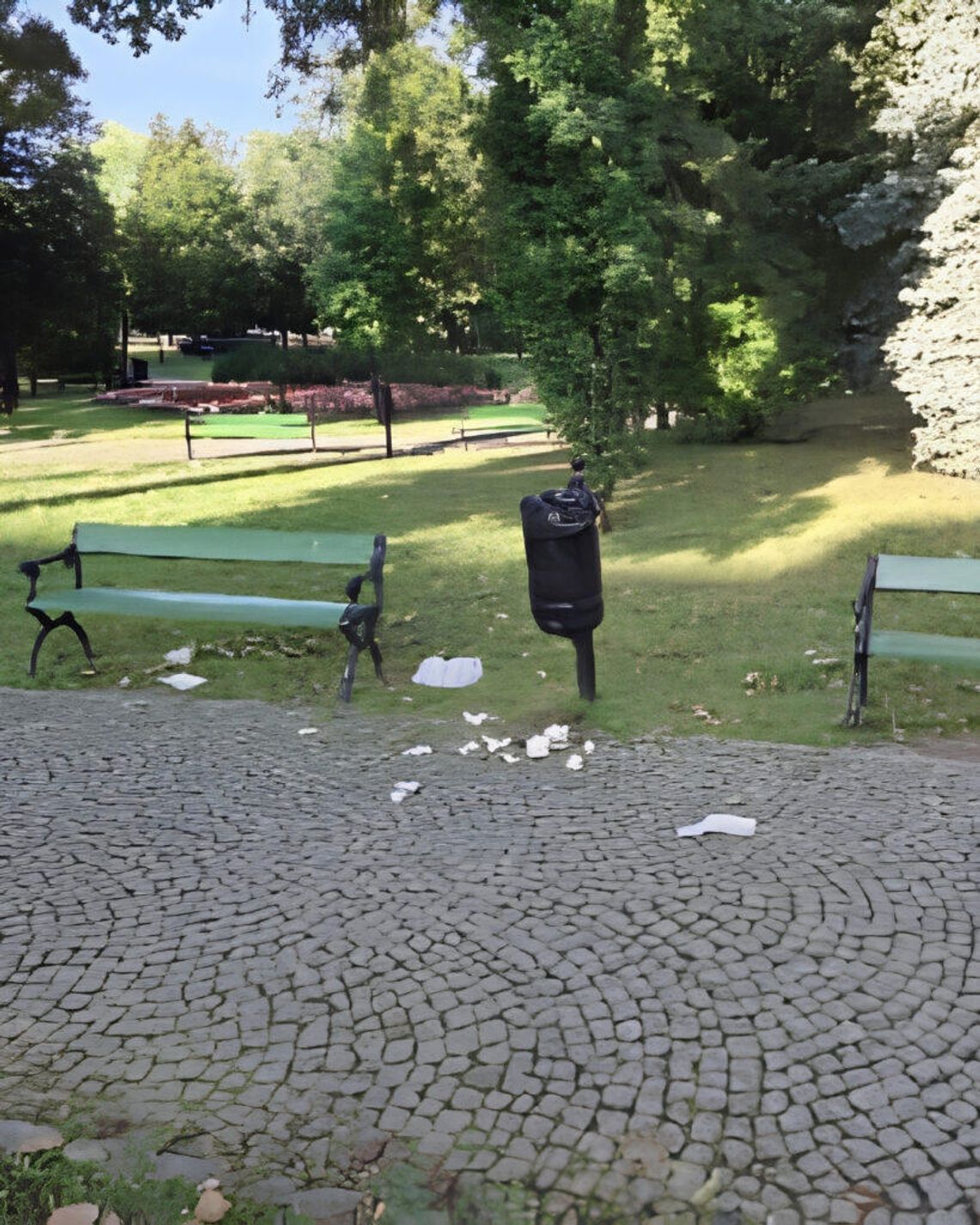 Dlaczego śmieci trafiają obok kosza? Suwalczanie zwracają uwagę na problem Dlaczego śmieci trafiają obok kosza? Suwalczanie zwracają uwagę na problem