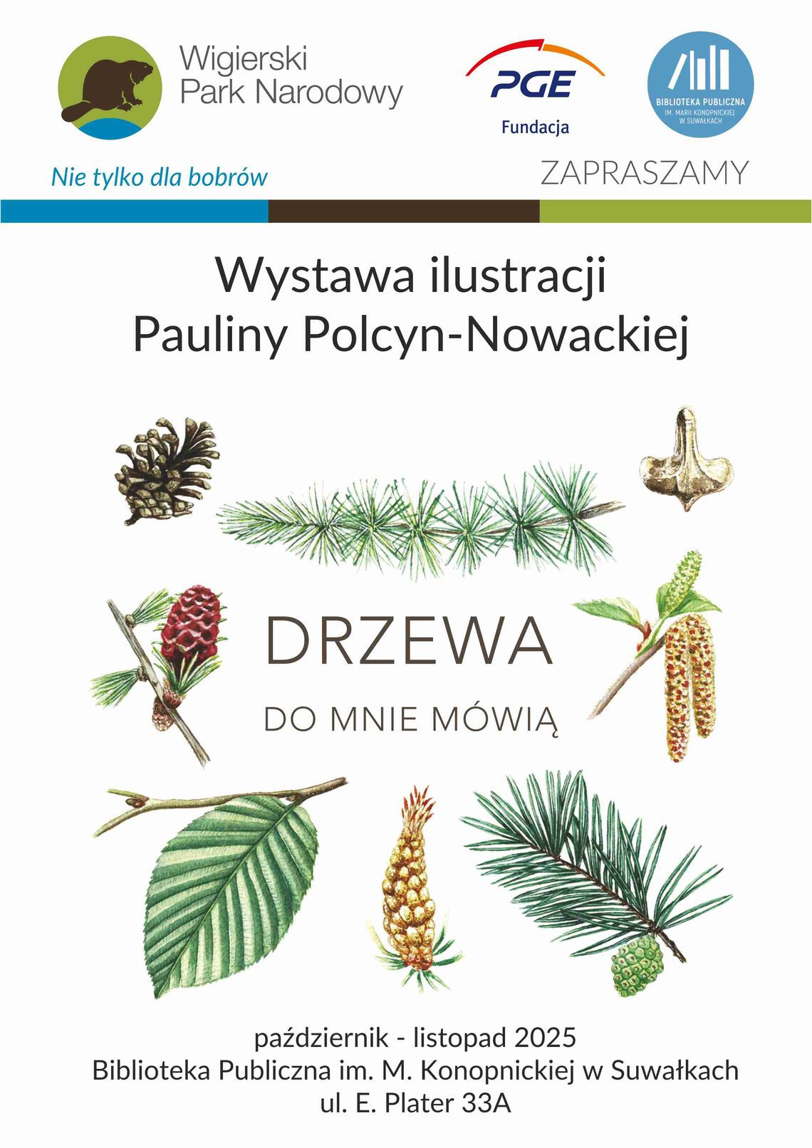 🌳 „Drzewa do mnie mówią” – wyjątkowa wystawa ilustracji w suwalskiej bibliotece 🌳 „Drzewa do mnie mówią” – wyjątkowa wystawa ilustracji w suwalskiej bibliotece