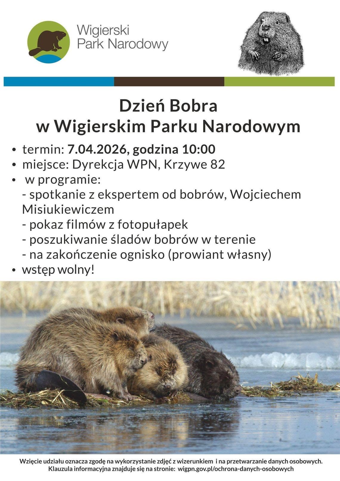 Dzień Bobra w Wigierski Park Narodowy – zaproszenie