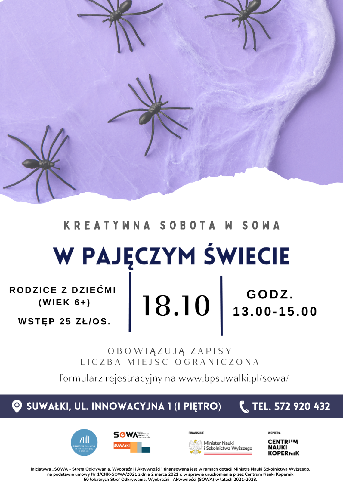 Edukacyjne warsztaty o pająkach w SOWA
