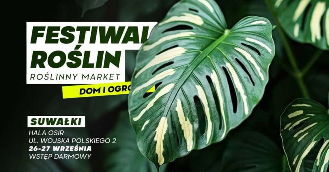 Festiwal Roślin już we wrześniu w Suwałkach! Setki roślin, ceny od 5 zł i bezpłatny wstęp Festiwal Roślin już we wrześniu w Suwałkach! Setki roślin, ceny od 5 zł i bezpłatny wstęp