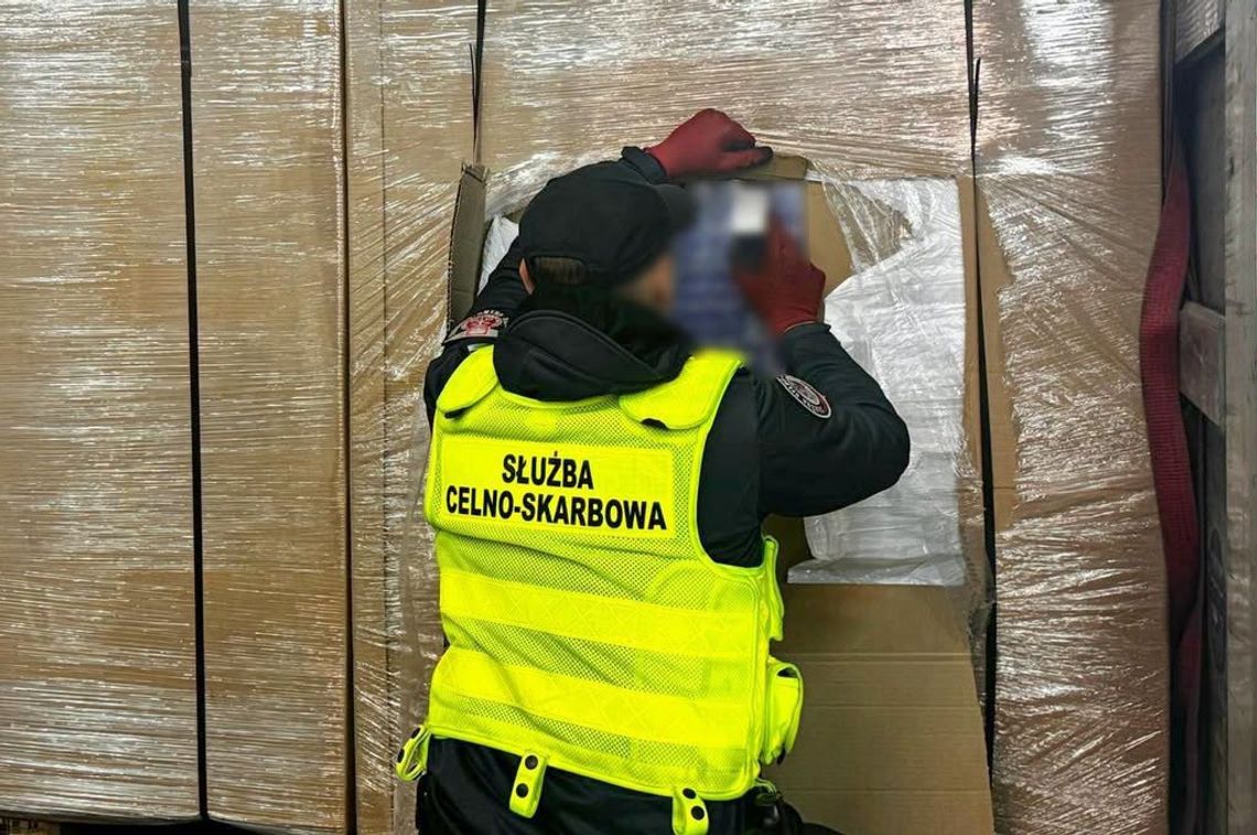 Gigantyczny przemyt na S61. KAS przechwyciła 420 tys. paczek papierosów