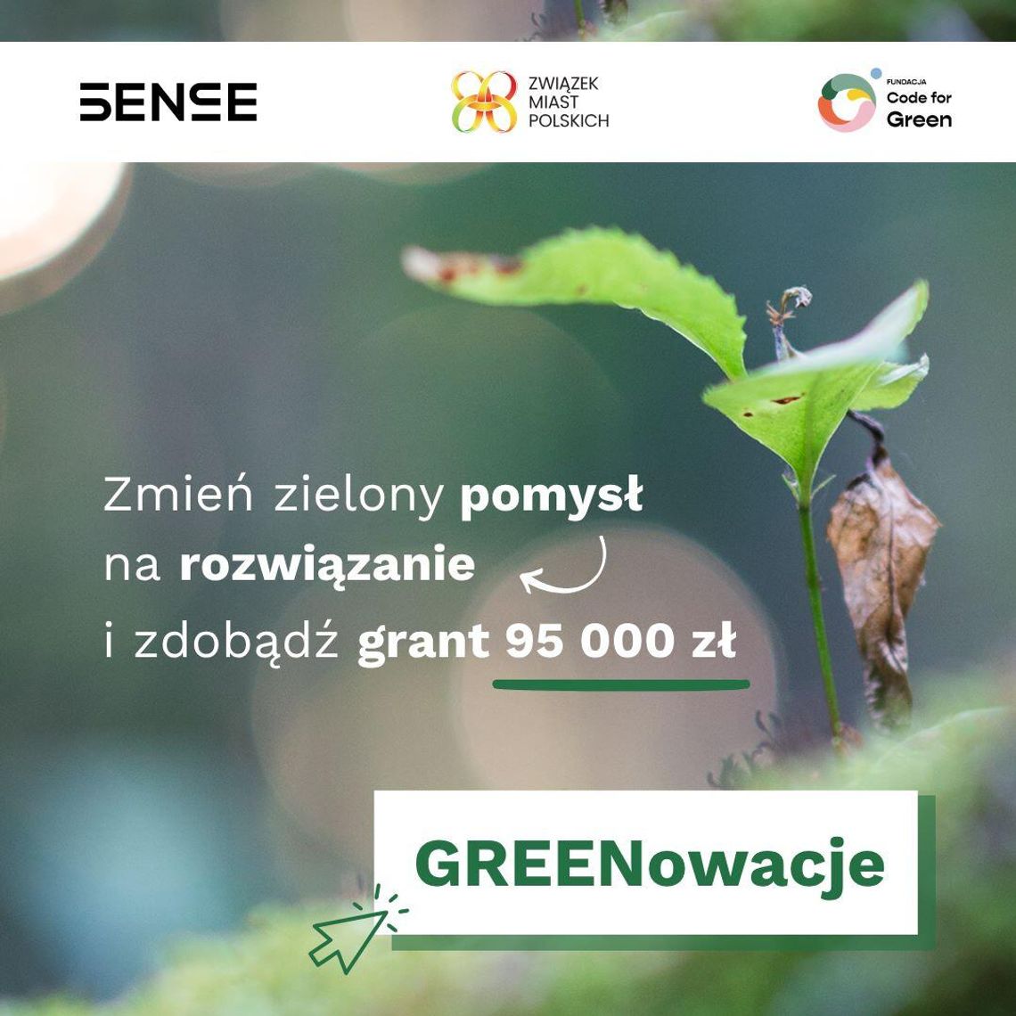 💚 Granty na zielone innowacje! Ruszył nabór do projektu GREENowacje