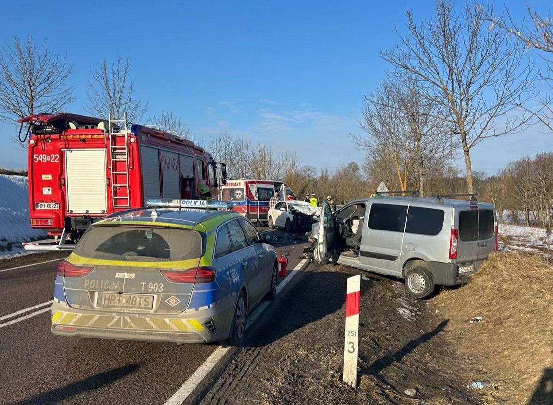 Groźna kolizja na trasie Orzysz – Mikołajki. Łoś wbiegł na jezdnię Groźna kolizja na trasie Orzysz – Mikołajki. Łoś wbiegł na jezdnię