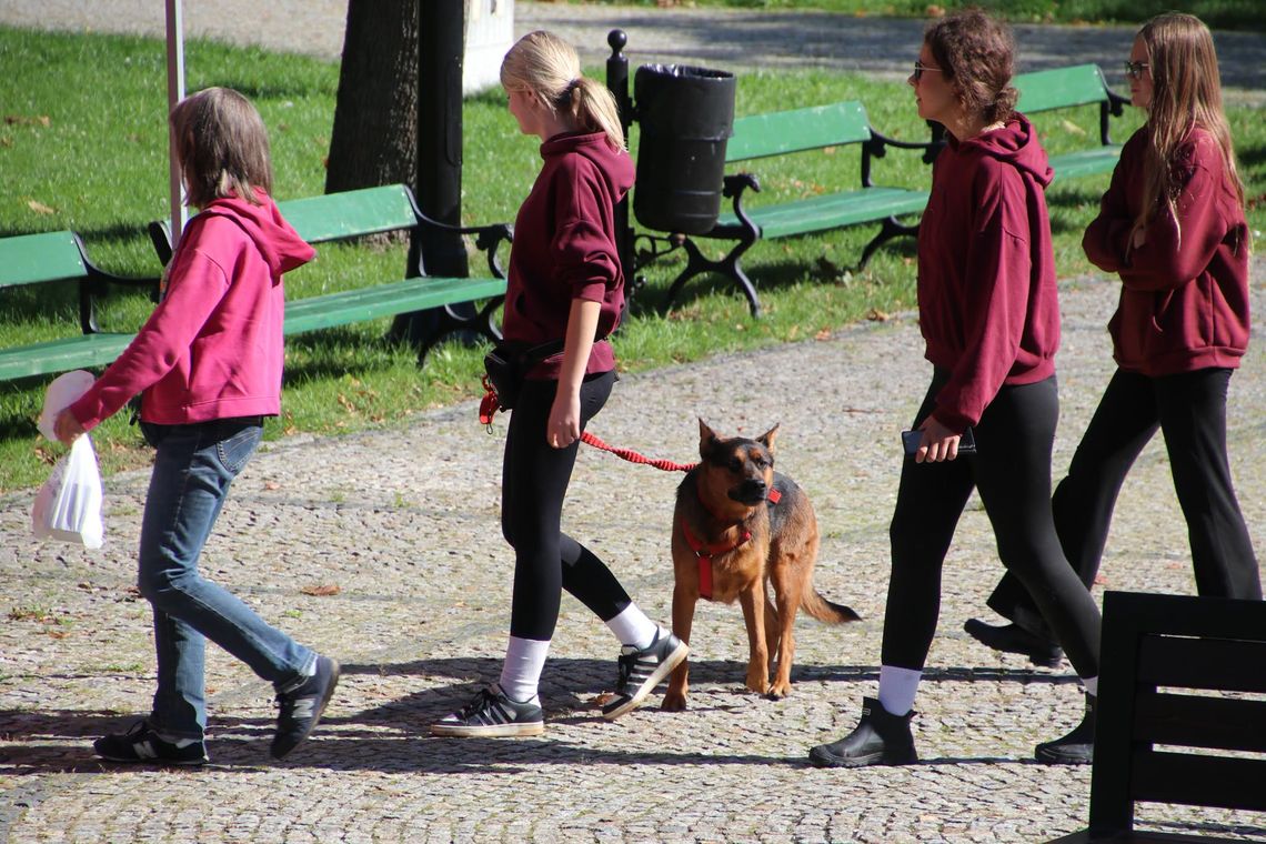IX Wystawa Psów Nierasowych przyciągnęła miłośników czworonogów IX Wystawa Psów Nierasowych przyciągnęła miłośników czworonogów