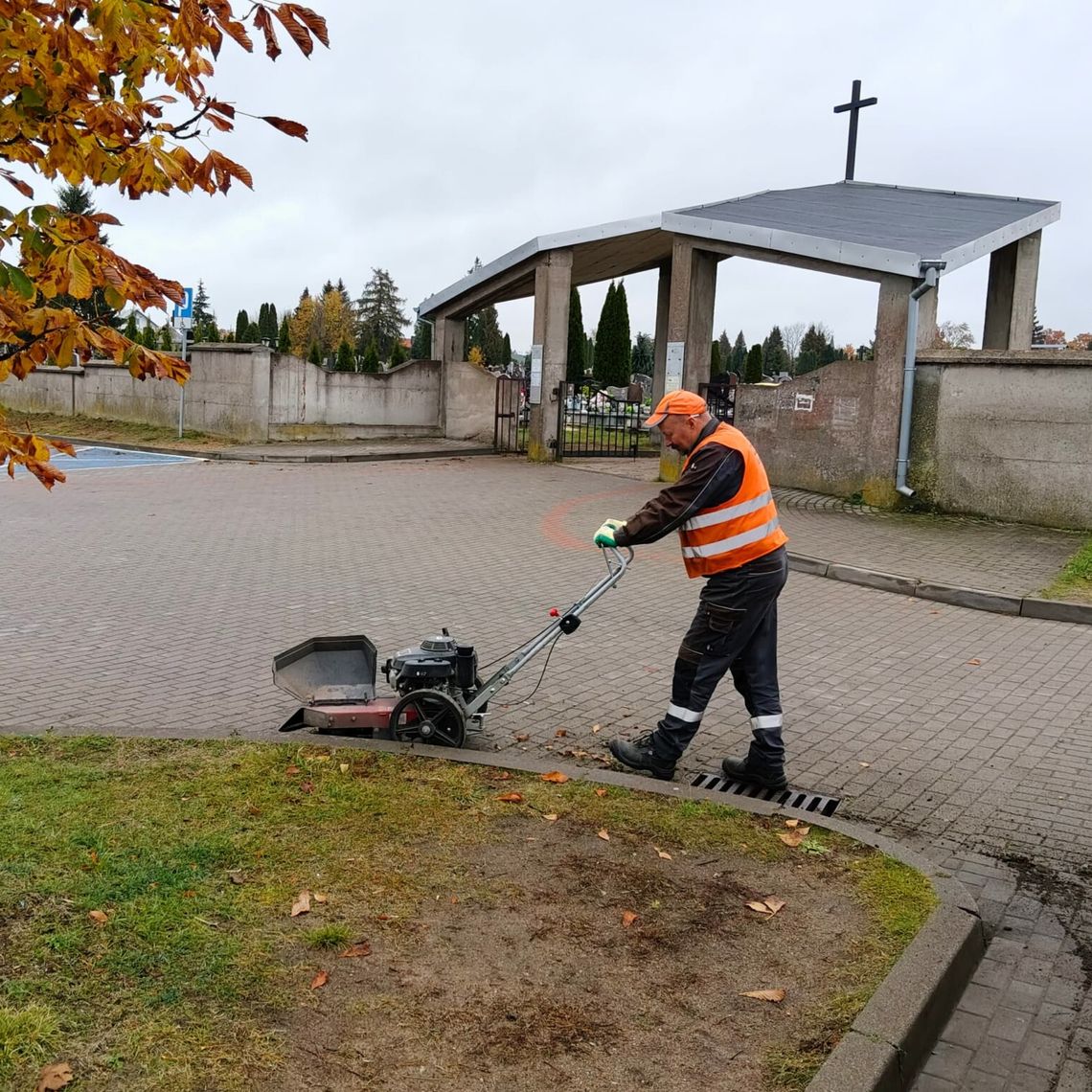 🍂 Jesień w Suwałkach – czas porządków, nasadzeń i przygotowań do zimy 🍂 Jesień w Suwałkach – czas porządków, nasadzeń i przygotowań do zimy