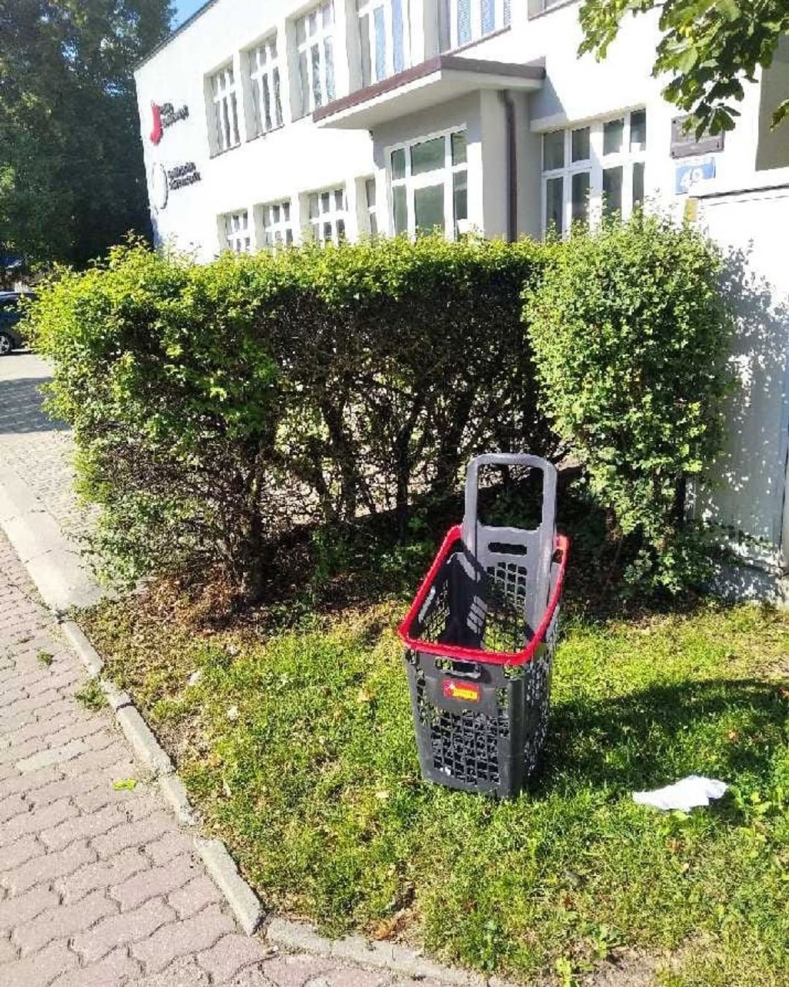 Koszyki sklepowe znikają ze sklepów i trafiają na ulice. Służby apelują do mieszkańców Koszyki sklepowe znikają ze sklepów i trafiają na ulice. Służby apelują do mieszkańców