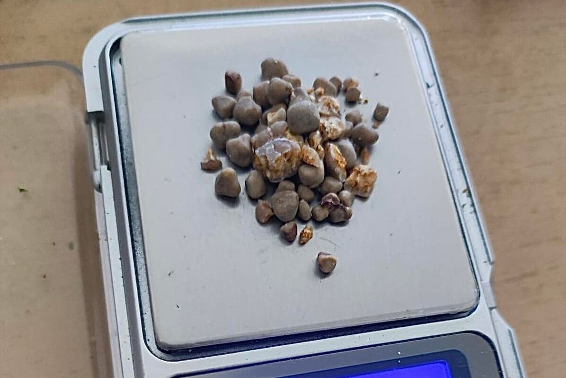 🚨 Kradł w sklepie i miał przy sobie narkotyki – zatrzymanie w Augustowie