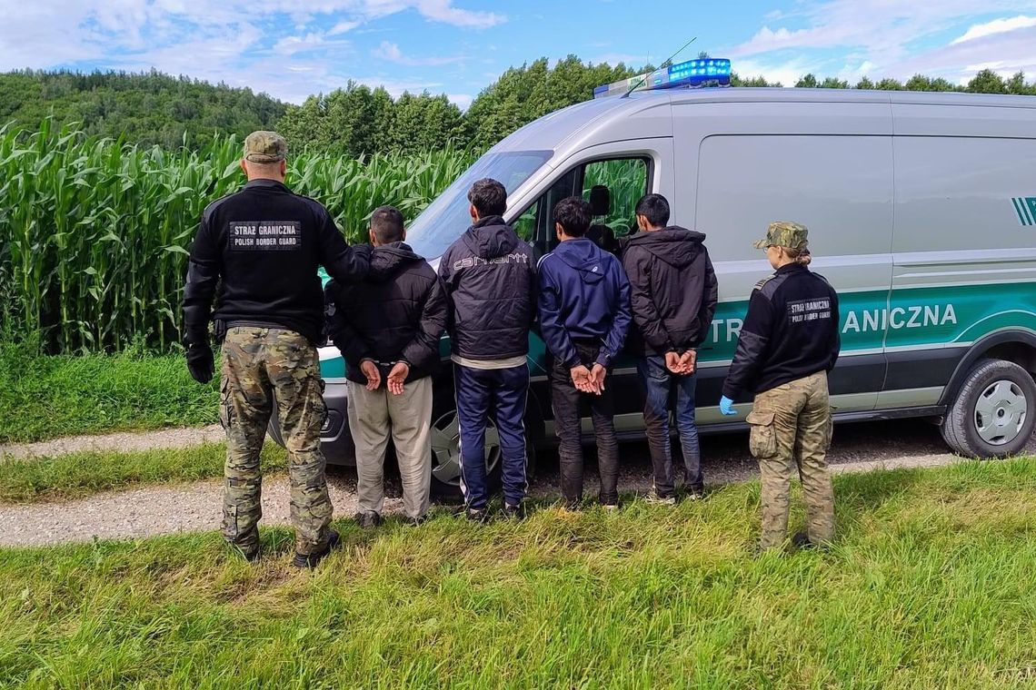 Kurier zatrzymany w gminie Rutka-Tartak. Miał odebrać czterech nielegalnych migrantów