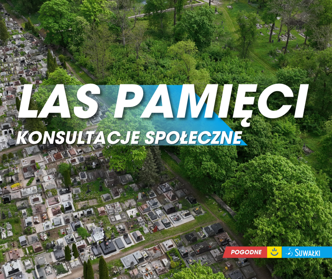„Las Pamięci” na cmentarzu w Suwałkach? Miasto pyta mieszkańców o zdanie „Las Pamięci” na cmentarzu w Suwałkach? Miasto pyta mieszkańców o zdanie