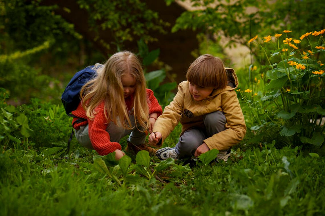 🌿 Letnie półkolonie z Suwalskim Ośrodkiem Kultury. „Cudze chwalicie: poznajmy Wigierski Park Narodowy” 🌿 Letnie półkolonie z Suwalskim Ośrodkiem Kultury. „Cudze chwalicie: poznajmy Wigierski Park Narodowy”