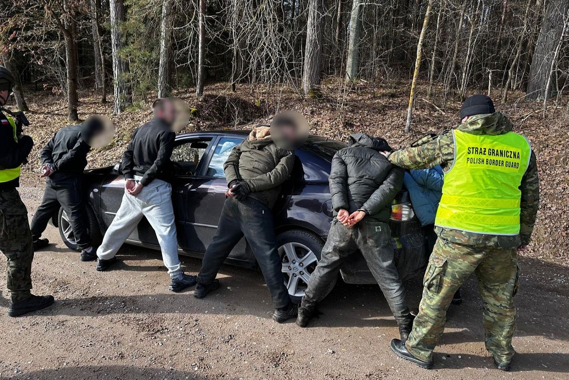 Migranci i kurierzy zatrzymani przy granicy polsko-litewskiej