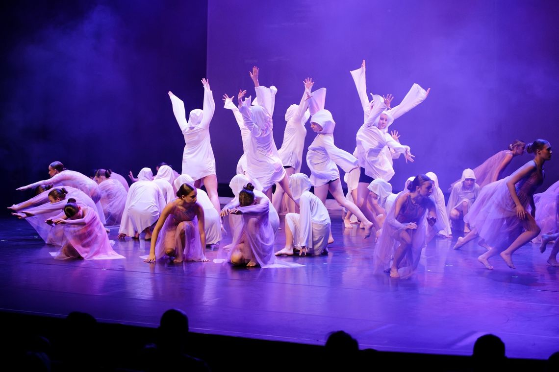 ✨ „Motyle w sieci światła” zachwyciły Suwałki