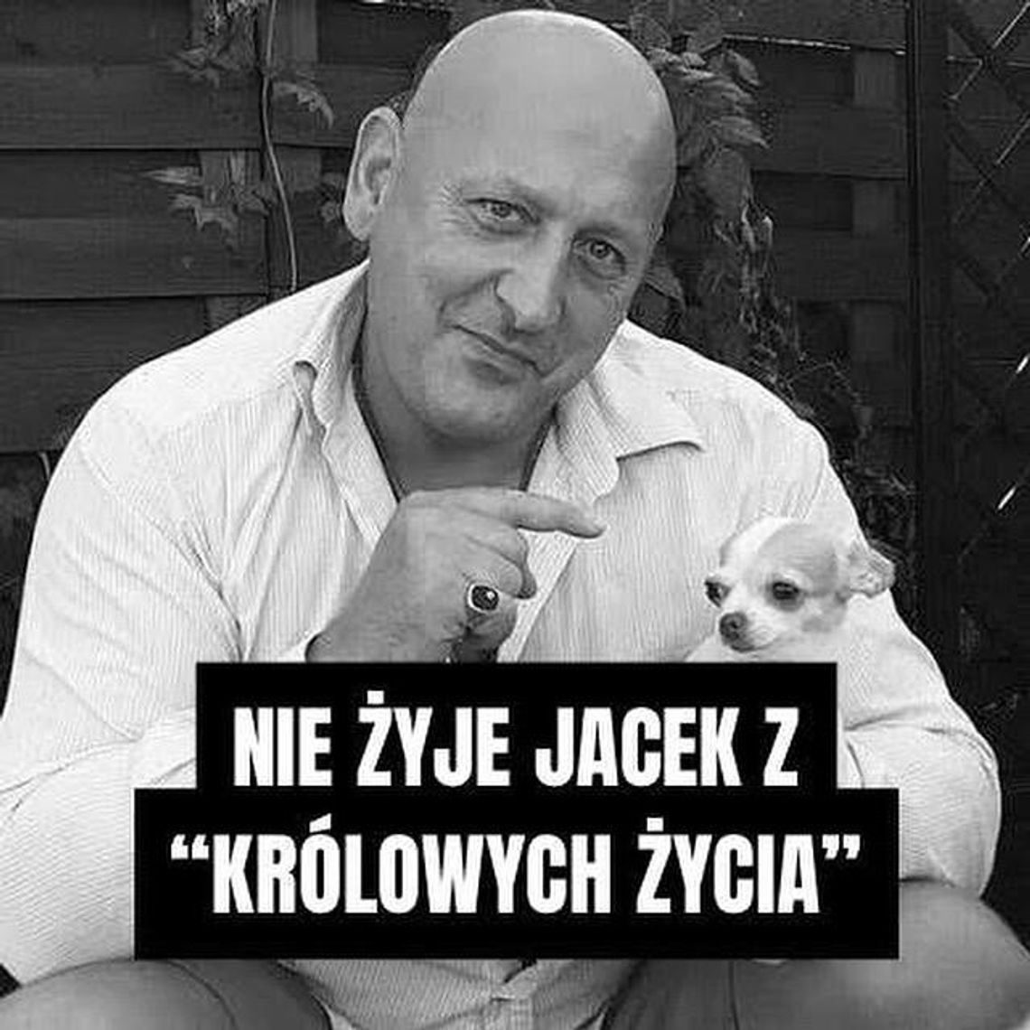 🖤 Nie żyje Jacek Wójcik 🖤