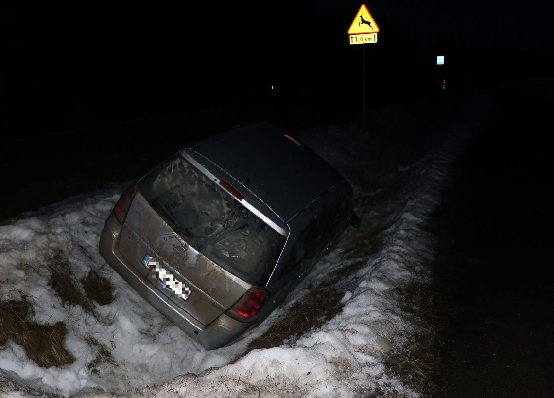 Pijany kierowca wjechał do rowu. Grozi mu deportacja