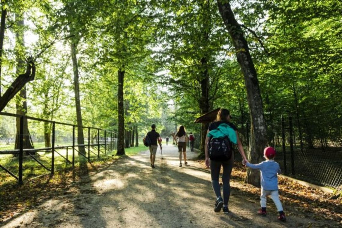 Podlaski Czek Turystyczny wraca. 300 zł dopłaty na pobyt w regionie