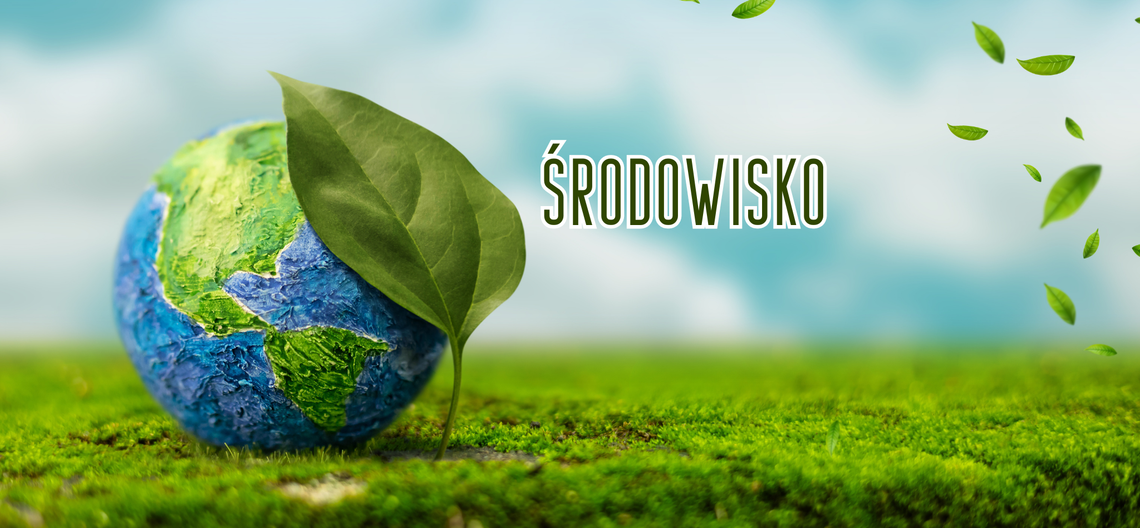 Podlaskie najlepsze w Polsce. Województwo zostało liderem recyklingu