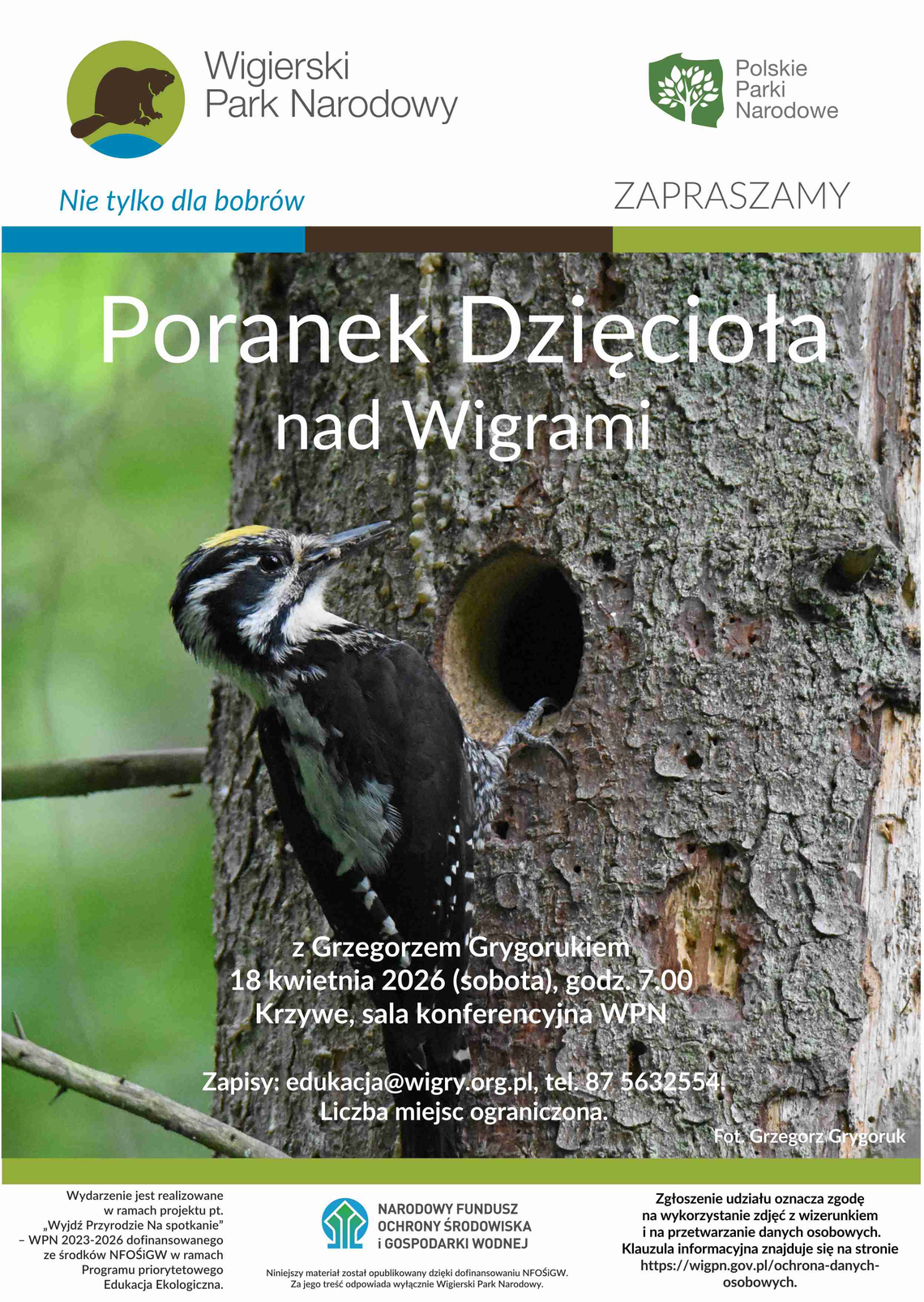 „Poranek Dzięcioła” nad Wigrami. Wiosenne spotkanie z przyrodą