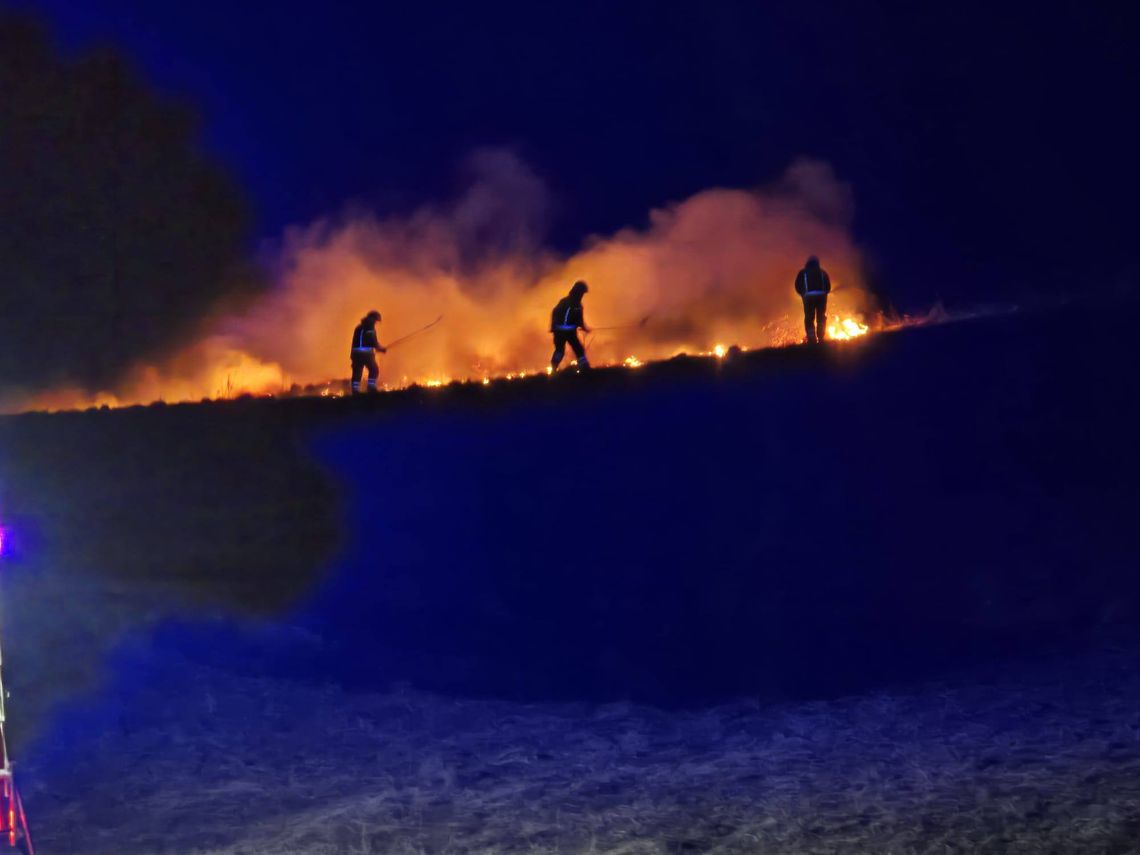 Pożar traw w Filipowie Drugim. Szybka interwencja strażaków Pożar traw w Filipowie Drugim. Szybka interwencja strażaków