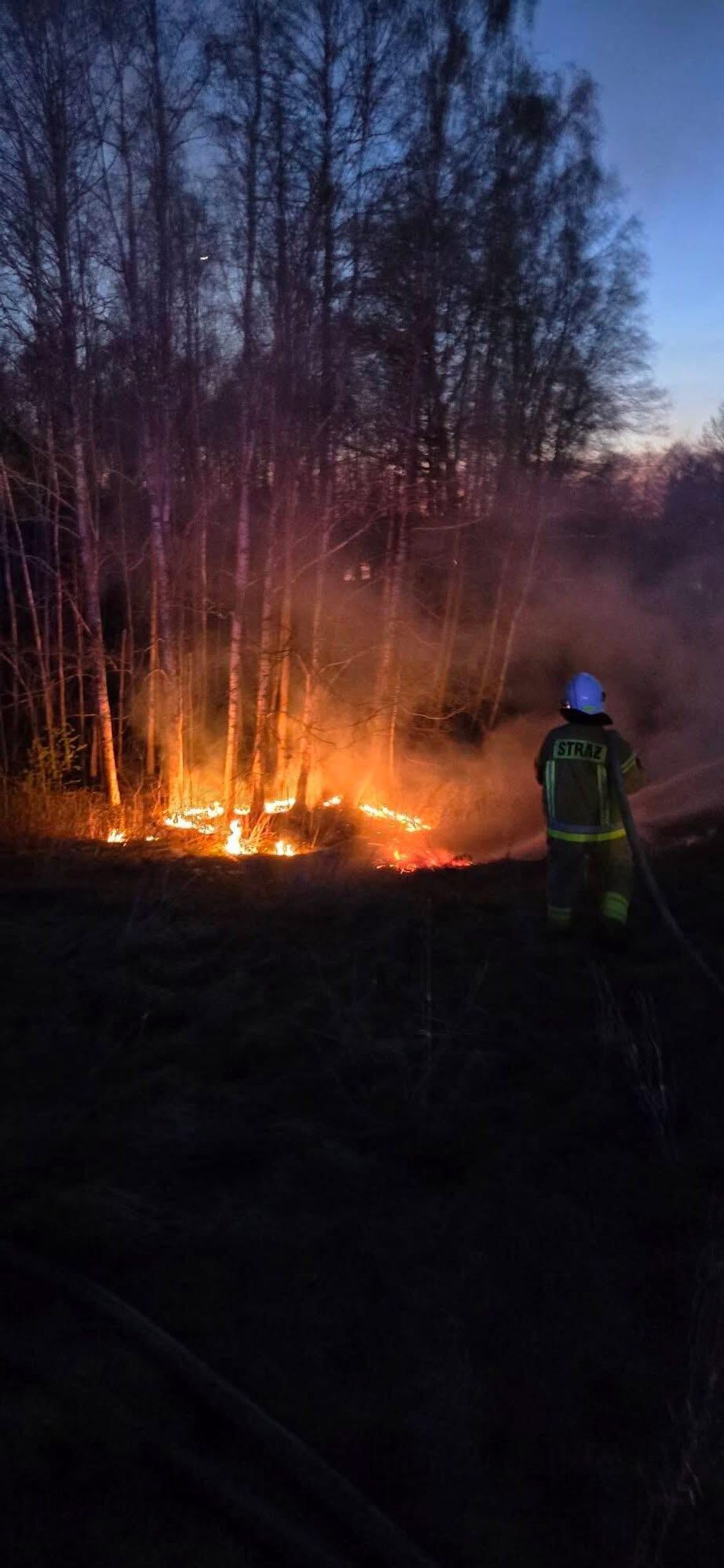 Pożar traw w miejscowości Turówka Stara 🚨